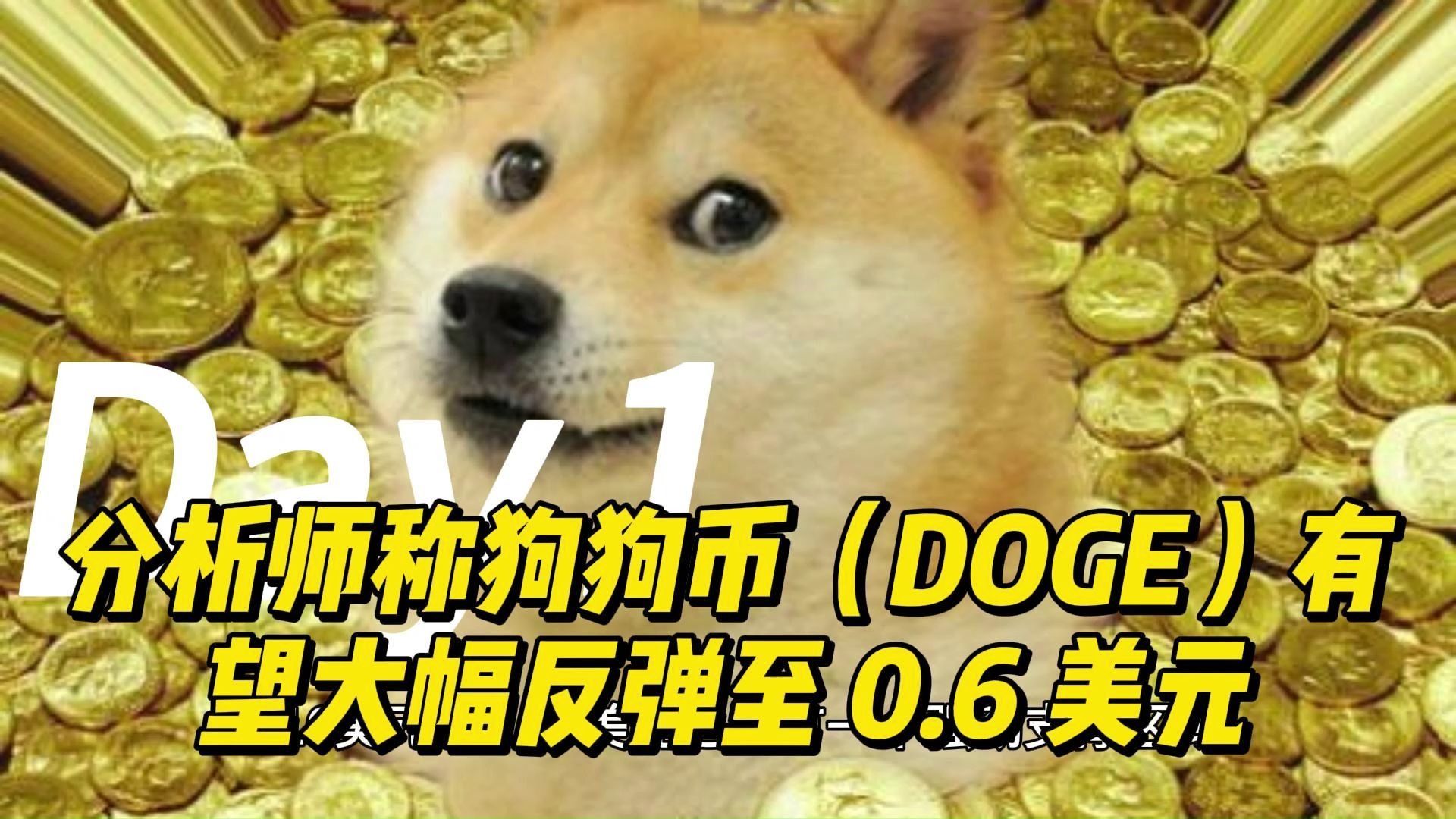 专家称狗狗币将在年底冲破TRON美元，引发引发关注